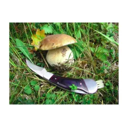 F1900200SA3 - Cutit ciuperci - PILZ