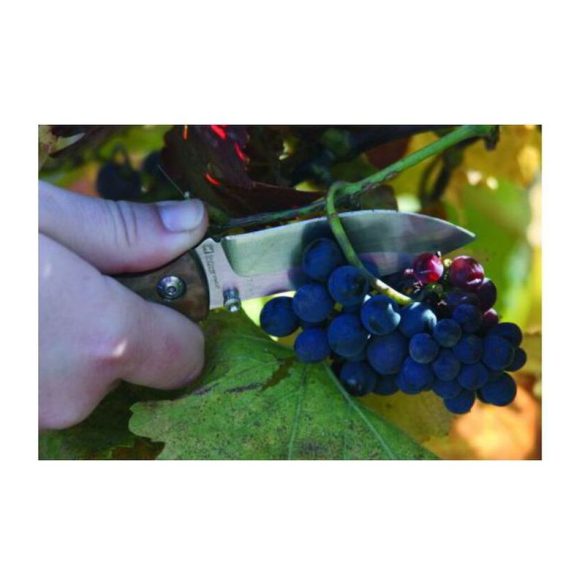 F1900600SA3 - Cutit de buzunar - JUNGLE