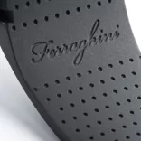 f21503-ceas-de-mana-ferraghini