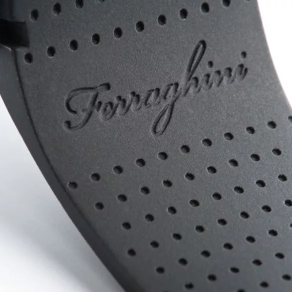 f21503-ceas-de-mana-ferraghini