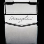 f21607-ceas-de-mana-ferraghini