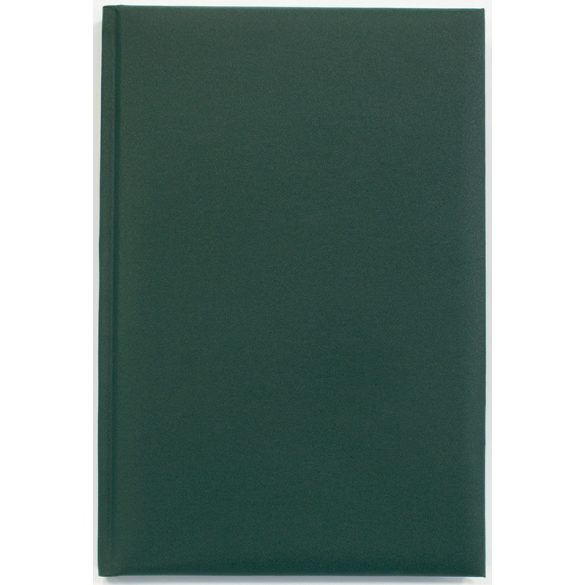 Agenda 2025 nedatata Gama - 16 x 24 cm - [Verde]