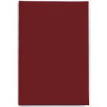 IS-4-EGO-Agenda-datata-zilnic-Basic-Visiniu-14x21-cm