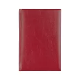 IS-4-EGO-Agenda-datata-zilnic-Basic-Visiniu-14x21-cm