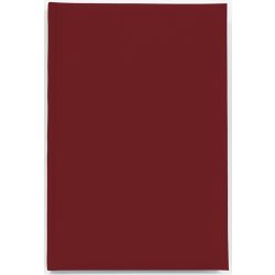 IS-4-EGO-Agenda-datata-zilnic-Basic-Visiniu-14x21-cm