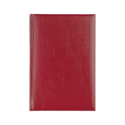 IS-4-EGO-Agenda-datata-zilnic-Basic-Visiniu-14x21-cm