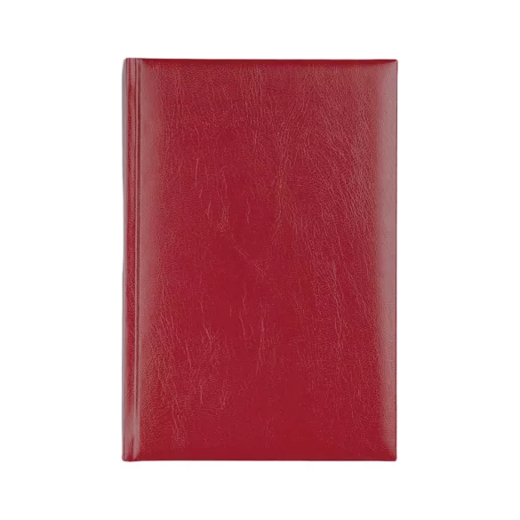 IS-4-EGO-Agenda-datata-zilnic-Basic-Visiniu-14x21-cm