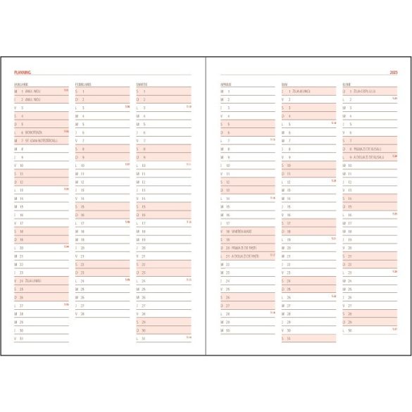 IS-4-EGO-Agenda-datata-zilnic-Basic-Visiniu-14x21-cm