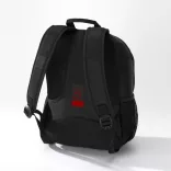 lpn550-or-rucsac-flash-sport-mic