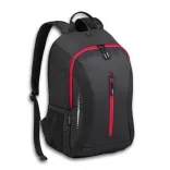 lpn550-re-rucsac-flash-sport-mic