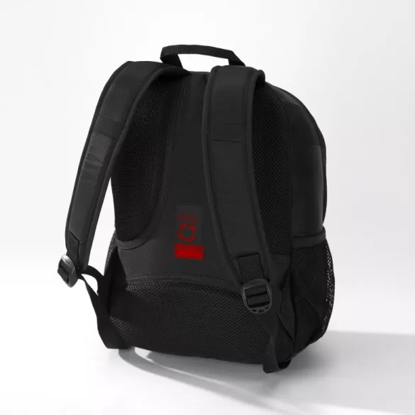 lpn550-re-rucsac-flash-sport-mic