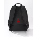 lpn550-pr-rucsac-flash-sport-mic