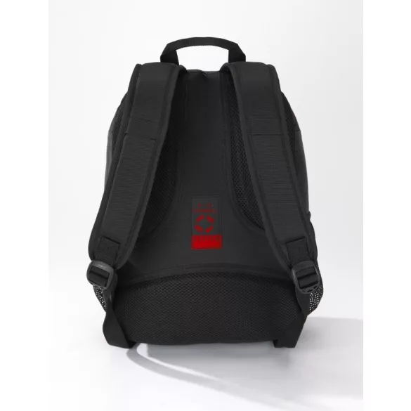 lpn550-pr-rucsac-flash-sport-mic
