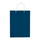 LT91513-N0010-Sacosa-mare-Bleumarin