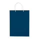 LT91513-N0010-Sacosa-mare-Bleumarin