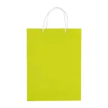 LT91513-N0032-Sacosa-mare-Verde-deschis