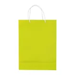 LT91513-N0032-Sacosa-mare-Verde-deschis