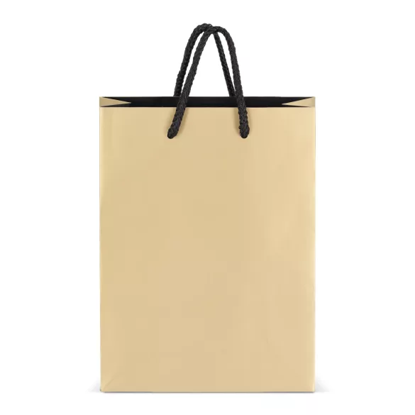LT91515-N0006-Sacosa-pentru-cadouri-din-hartie-18-x-8-x-24-cm-200g-Auriu