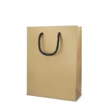LT91515-N0006-Sacosa-pentru-cadouri-din-hartie-18-x-8-x-24-cm-200g-Auriu
