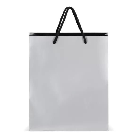 LT91516-N0005-Sacosa-pentru-cadouri-din-hartie-24-x-10-x-30-cm-200g-Argintiu
