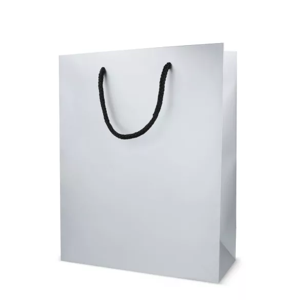 LT91516-N0005-Sacosa-pentru-cadouri-din-hartie-24-x-10-x-30-cm-200g-Argintiu