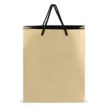 LT91516-N0006-Sacosa-pentru-cadouri-din-hartie-24-x-10-x-30-cm-200g-Auriu