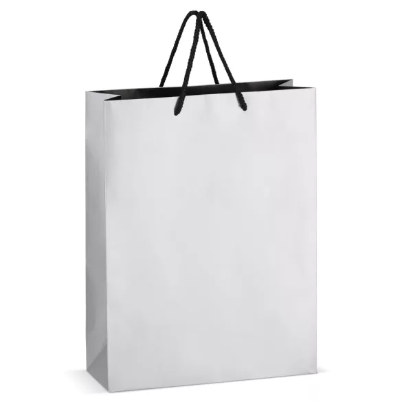 LT91517-N0005-Sacosa-pentru-cadouri-din-hartie-certificat-FSC-30-x-12-x-40-cm-200g-Argintiu