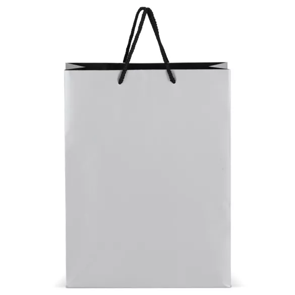 LT91517-N0005-Sacosa-pentru-cadouri-din-hartie-certificat-FSC-30-x-12-x-40-cm-200g-Argintiu