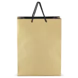 LT91517-N0006-Sacosa-pentru-cadouri-din-hartie-certificat-FSC-30-x-12-x-40-cm-200g-Auriu