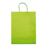 LT91718-N0032-Sacosa-din-hartie-kraft-format-mare-120-g-Verde-deschis