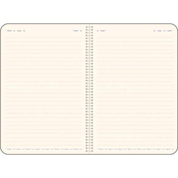 TW-12-EGO-Agenda-nedatata-MAROCCO-verde