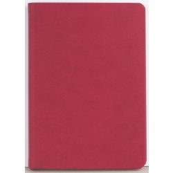 TW-4-EGO-Agenda-nedatata-MAROCCO-visiniu