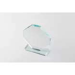 MO2135-22-Trofeu-din-cristal-RUMBO