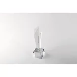 MO2236-22-Trofeu-din-cristal-in-cutie-de-DIAWARD