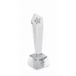 MO2236-22-Trofeu-din-cristal-in-cutie-de-DIAWARD