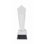MO2236-22-Trofeu-din-cristal-in-cutie-de-DIAWARD