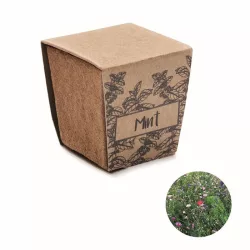 MO2410-13-Kit-pentru-seminte-MINT-KIT