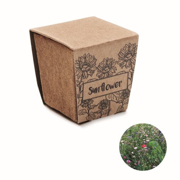 MO2411-13-Kit-pentru-flori-SUNFLOWER-KIT