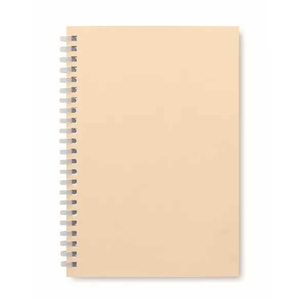 MO2523-13-Caiet-A5-RECARNOTE