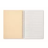 MO2523-13-Caiet-A5-RECARNOTE