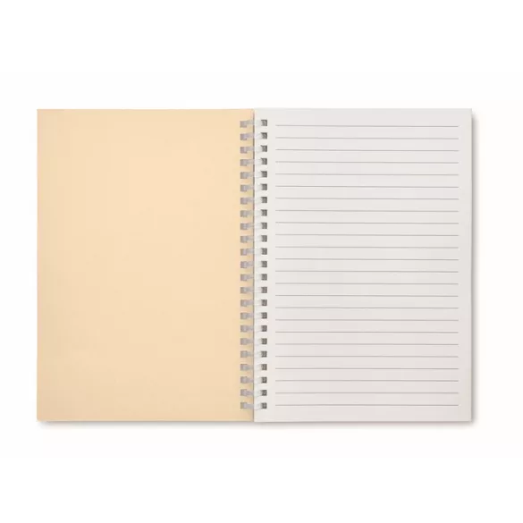 MO2523-13-Caiet-A5-RECARNOTE