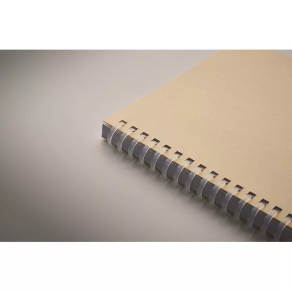 MO2523-13-Caiet-A5-RECARNOTE