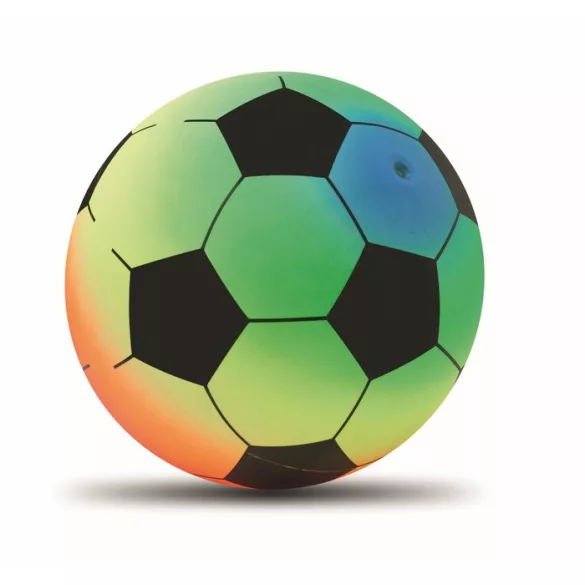 MO2558-99-Minge-de-plaja-RAINBALL