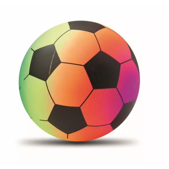 MO2558-99-Minge-de-plaja-RAINBALL