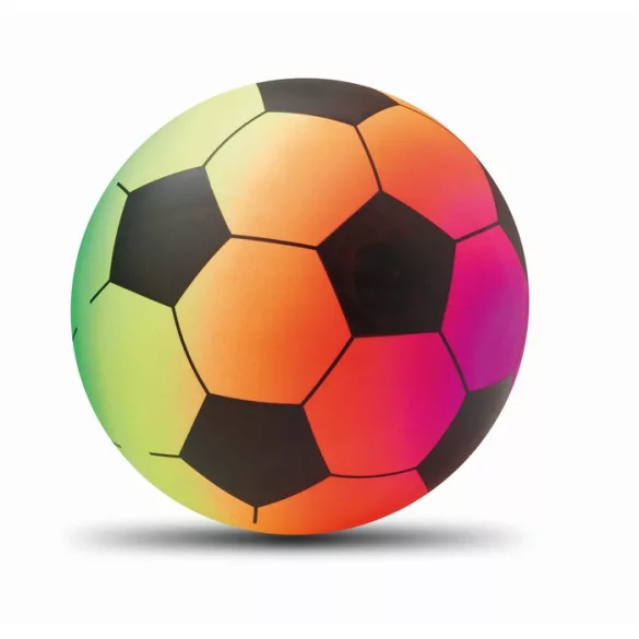 MO2558-99-Minge-de-plaja-RAINBALL