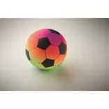 MO2558-99-Minge-de-plaja-RAINBALL