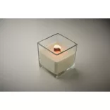 MO2711-22-Lumanare-ceara-plante-600-gr-RIU