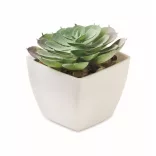 MO2853-06-Mini-planta-artificiala-ARTIECHE