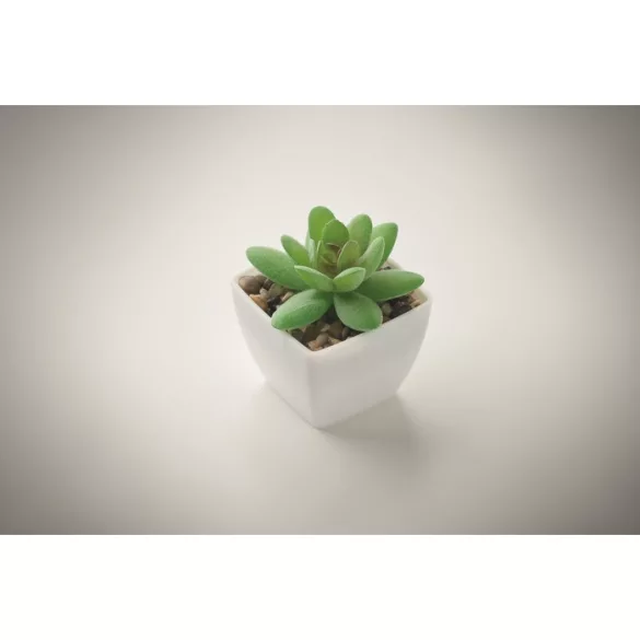 MO2854-06-Mini-planta-artificiala-ARTIGRAP