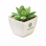 MO2854-06-Mini-planta-artificiala-ARTIGRAP